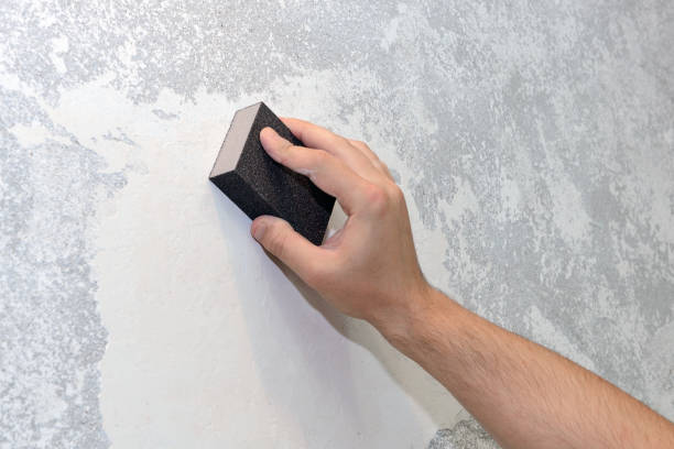 Best Comprehensive Air Testing for Mold Contaminants  in Goshen, IN