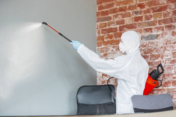 Best Air Quality Testing for Mold Spores  in Goshen, IN