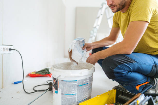 Best Mold Odor Removal Services  in Goshen, IN