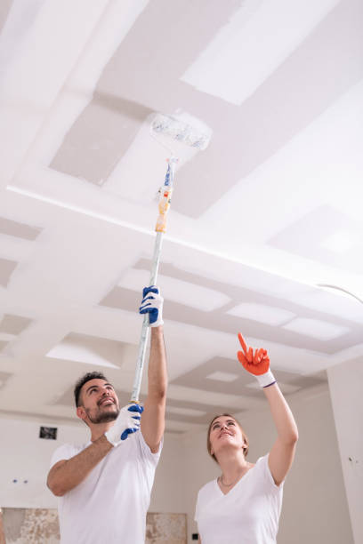 Best Commercial Mold Inspection  in Goshen, IN