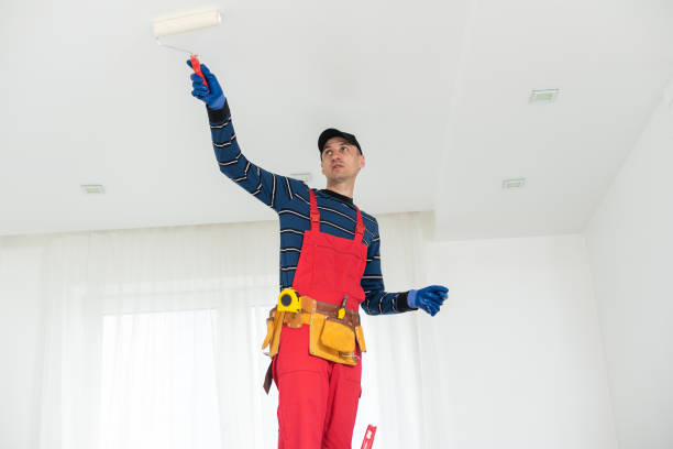 Best Basement Mold Removal  in Goshen, IN
